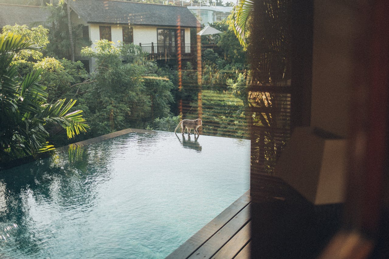 Pexels Photo 1838589